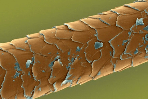 Damaged hair care